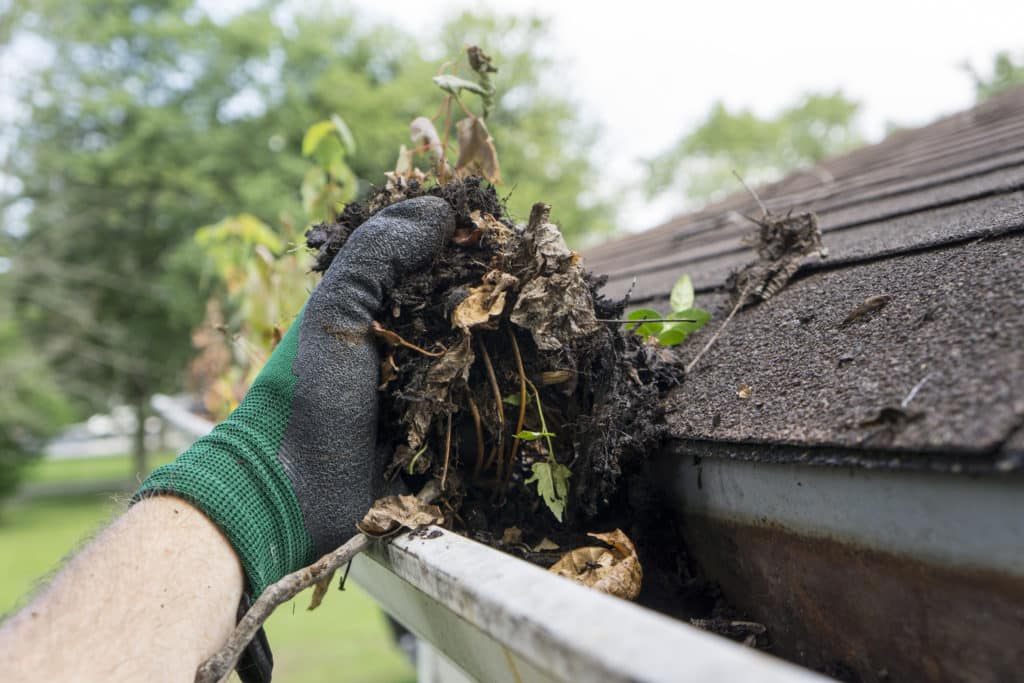 Gutter Cleaning Companies Jacksonville