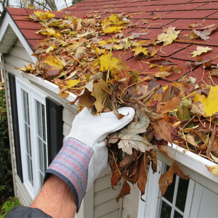 Gutter Cleanout Services Jacksonville, FL