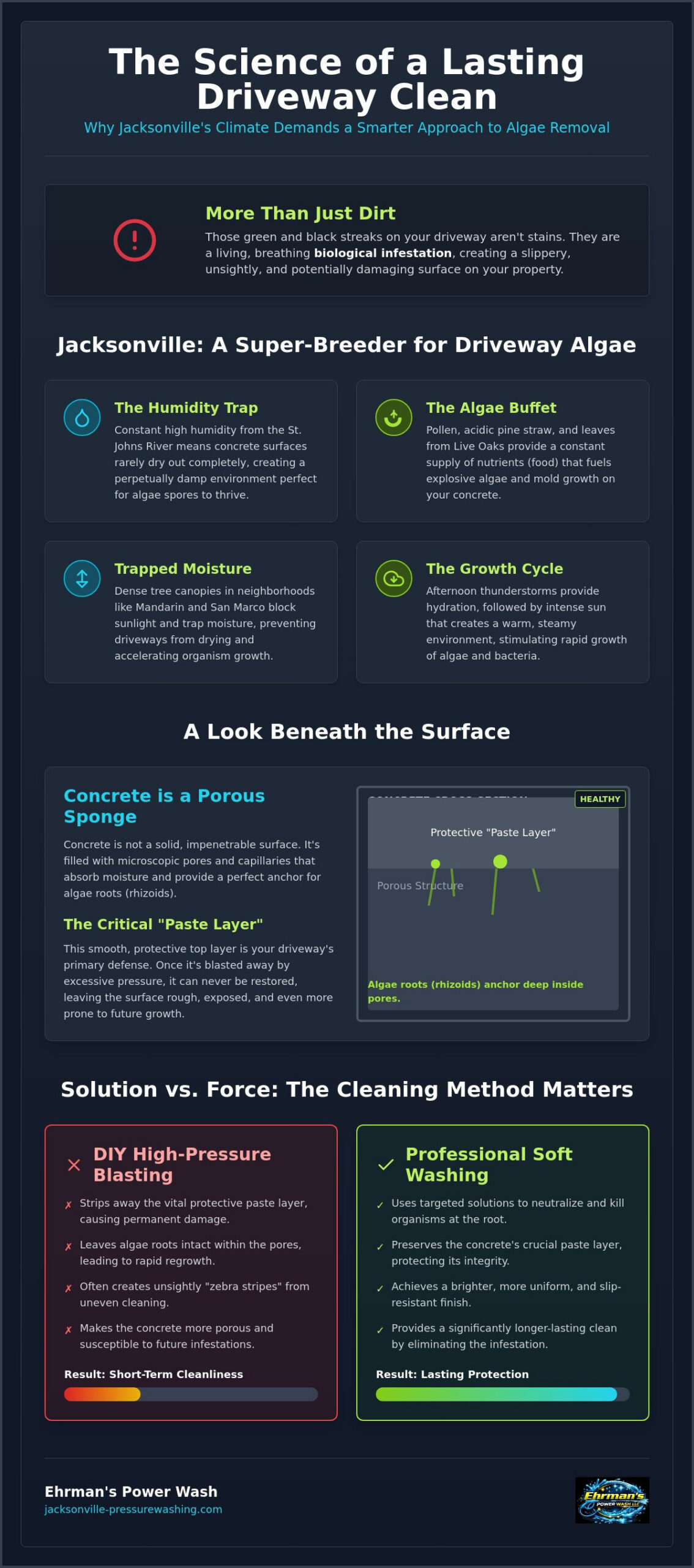 Algae Removal for Driveways in Jacksonville: The Science of a Lasting Clean